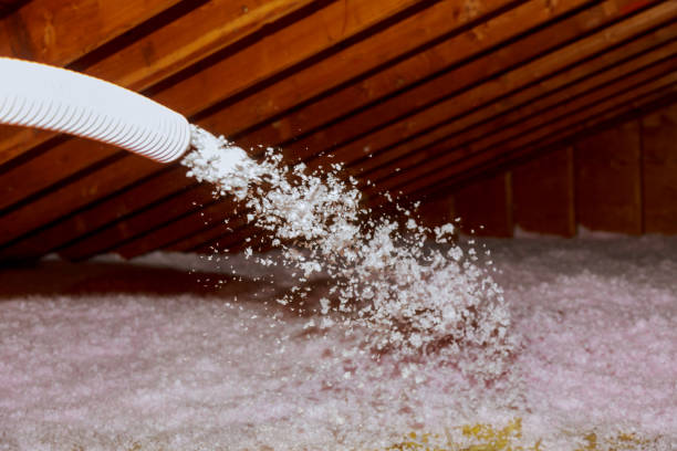 Best Insulation Inspection Services  in Nash, TX