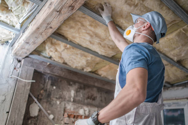 Best Insulation Removal  in Nash, TX