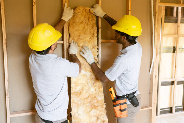 Best Insulation Repair Services  in Nash, TX