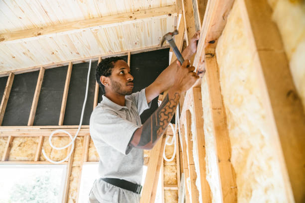 Best Spray Foam Insulation  in Nash, TX