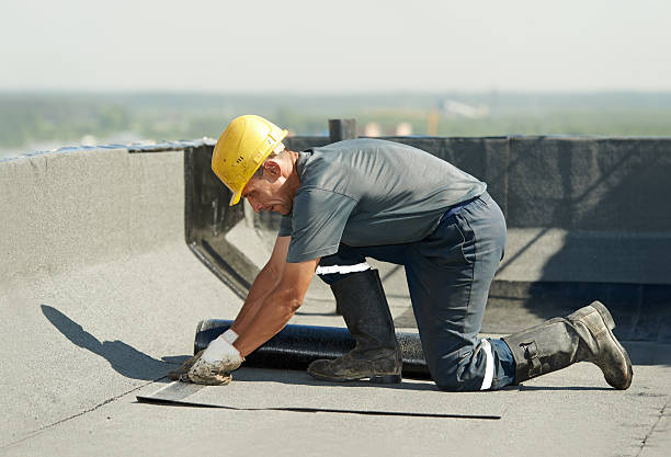 Best Professional Insulation Contractor  in Nash, TX