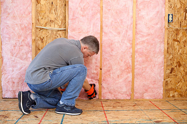 Best Local Insulation Services  in Nash, TX
