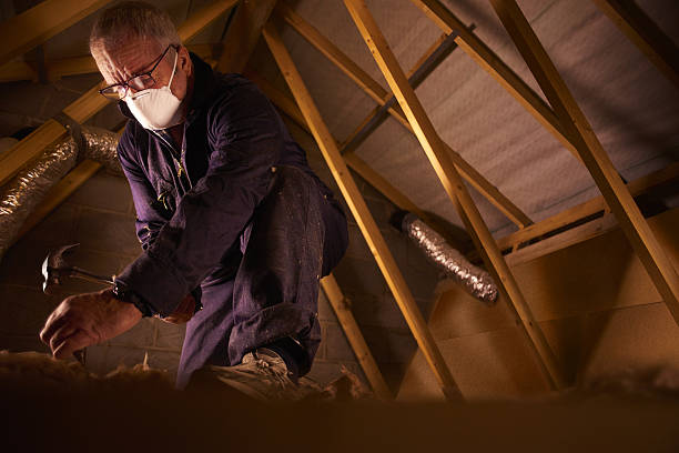 Best Insulation Inspection Services  in Nash, TX